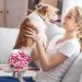 High-Suction Washable Dog Diapers for Bitches | 2 Pcs | International Shipping - Buy Online on GoSupps.com
