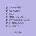 Phyto Purple No Yellow Shampoo - Anti Brass Toning & Color Depositing 250ml | Enhance Shine & Neutralize Yellow Tones - Buy Online on GoSupps.com