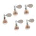 Beavorty 5pcs Body Powder Spray Body Shimmer Gold Body Glitter Body Glitter Spray Flash Powder Makeup Miss