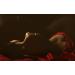 Love Potion Pheromone Perfume Oil 0.33 Fl Oz (Pack of 1) - Buy Online on GoSupps.com