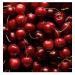 Cherry Baby Eau de Parfum Fragrance for Women 30ml/1oz - Buy Online on GoSupps.com