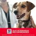Hill's Science Diet Small Breed Dry Dog Food | Adult Small Paws for Healthy Nutrition - Buy Online on GoSupps.com