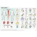 Vidatak EZ Board Patient Communication Picture Symbol Board - Buy Online on GoSupps.com