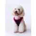3-Pack Dog Clothing | Princess & Prince T-Shirts for Cats & Small to Medium Dogs - Cute Costumes - Buy Online on GoSupps.com