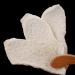 Dried Chinese yam flakes original color yam flakes a good companion for soup and porridge sweet soft and glutinous and easy to cook 7.05oz/200g - Buy Online on GoSupps.com
