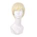 MapofBeauty 10 inch/25cm Short Curly Men's Curly Wig (Light Gold)