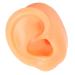 Human Ear Model Waterproof Silicone False Ear Model For Ear Piercing Training (Right)