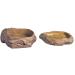 Exo Terra Water Dish water bowl water bowl in the rock decor for terrariums extra large & feeding dish feeding shell feeding bowl in the rock decor small (1 -pack) bundle with feeding DISH