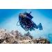 Suunto Zoop Novo Dive Computer Wrist Watch - Best Price & Free Shipping - Buy Online on GoSupps.com