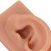 Dark Skin Tone Silicone Human Ear Model for Medical Training - Left & Right | Educational Practice Model - Buy Online on GoSupps.com