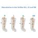 Buy I-Press4 Lymphatic Drainage Device for Legs Size M | Home Use & Physiotherapy | Medical Device for Optimal Health - Buy Online on GoSupps.com