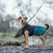 Hunter Uppsala 2-in-1 All-Round Dog Coat - Buttoned Fleece Water-Repellent Anthracite/Petrol - International Shipping Available - Buy Online on GoSupps.com
