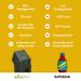 JuiceBox Syrup Light - 2L Makes 52L of Vegan & Delicious Pear-Melon Beverage | Sustainable Low-Calorie Drink - Buy Online on GoSupps.com