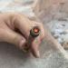 SXTL Fire Piston Kit with Char Cloth and Tinder - Camping Emergency Fire Starter - Buy Online on GoSupps.com
