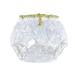 Haian ABDL Pull-On Locking Plastic Pants M Glass Clear