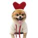Xiaoyu pet clothing dog hoodies warm sweatshirt coat puppy autumn winter clothing overall with fruit hood love s s love