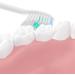 Yanban 4-Pack Replacement Toothbrush Heads for Philips Electric Toothbrush Compatible with Essence Elite Xtreme Advanced & Cleancare - Buy Online on GoSupps.com