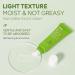 Green Tea Matcha Eye Cream - Refresh & Hydrate Under Eye Treatment for Puffiness Dark Circles & Wrinkles | 15g - Buy Online on GoSupps.com