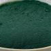 NULTHY Spirulina powder protein source conventional cultivation glutenfree vegan 500 g