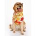 3Pcs Halloween Dog Bandanas Thanksgiving Pet Triangle Bibs Fall Pumpkin Maple Leaf Printed Dog Kerchief Adjustable Washable Scarfs Accessories for Small Medium Large Girl Boy Dogs Puppies Cats Pets - Buy Online on GoSupps.com