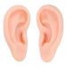 Silicone Ear Model 1 Pair for Earrings Display and Piercing Practice - Light Skin Color - Buy Online on GoSupps.com