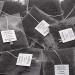 Dammann Smokey Lapsan - Th noir fum 25 sachets cristal - Dammann Fr res - Buy Online on GoSupps.com