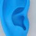 Silicone Soft Ear Model for Earrings Display with Stand - Practice Tool for Studs & Teaching - Realistic Imitation Ear - Buy Online on GoSupps.com