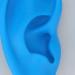 Vivid Waterproof Professional Soft Ear Model - Ideal for Hearing Amplifier Display - Buy Online on GoSupps.com