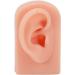 Flexible Reusable Human Ear Model - Soft & Easy to Use for Headphones Display and Acupuncture Training (Light Complexion) - Buy Online on GoSupps.com