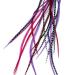 Real Feather Hair Extensions - Queen (3 Feathers)