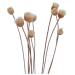20 parts/sentence diffusor sticks rattan flower nospepe rose replacement refill rattan sticks for essential oil diffuser for home bedroom bathroom
