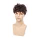 Swiking Men Brown Afro Wig - Short Fluffy Curly Synthetic Hair for Halloween Party Cosplay - Buy Online on GoSupps.com