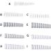 CLSSLVVBN 1 Set False Nail Elegant Full Coverage Shape Manicure Stickers Strong Adhesion Unique Design Half Paste Natural Paster Type 2 - Buy Online on GoSupps.com