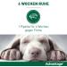 Elanco Advantage Spot-on 40 for Very Small Dogs - Quick Flea Control & Protection Up to 4 Weeks | 4 Pipets (0.4 ml) - Buy Online on GoSupps.com