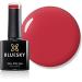 Bluesky UV/Gel Nail Polish 10 ml A026 A026 10 ml (Pack of 1)