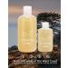 JUNIPER RIDGE Coastal Pine Body Wash - 8oz Concentrated Organic Vegan Castile Soap - Buy Online on GoSupps.com