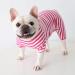 Classic Striped Pajamas for Dogs & Cats - Bt Bear Fat - Soft Cotton Costume for Pugs French Bulldogs & Small Breeds - Medium Hot Pink - Buy Online on GoSupps.com