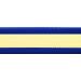 BioThane Sold by the Meter - Gold Standard in Multiple Colors 13-38 mm Wide 2.5 mm Thick - Blue-Glow 25 mm (BU318) - Buy Online on GoSupps.com