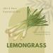 Lemongrass Essential Oil - 16 fl oz - 100% Pure & Natural - GreenHealth | Aluminum Bottle | International Shipping Available - Buy Online on GoSupps.com