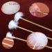 10-Pack Handmade Bamboo Ear Cleaner Set - Portable Earwax Removal Tool for Adults & Children | Doll Head Decoration, Goose Feather, 2 Styles - Buy Online on GoSupps.com