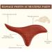 Wooden Massage Device - Gua Sha Board & Tool Sticks for Trigger Point Relief | Best Massage for Back Neck Shoulders & Feet - Buy Online on GoSupps.com