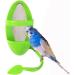 OSWINMART Cuttlefish Bone with Holder 3 in 1 Bird Toys - Treat Skewer, Mirror, Perch | Bird Food Holder Set for Birds - Buy Online on GoSupps.com