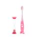 CHILDREN'S TOOTHBRUSH with hourglass blue pink toothbrush timer children's toothbrush children's brush dental care timer 2 variants 23 (pink)
