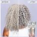 L'Oreal Silver Care Sulfate Free Shampoo & Conditioner with Peptides - Shop Internationally - Buy Online on GoSupps.com