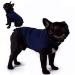 Zongha anti stress vest for dogs panic dishes for dogs fear dog coat medical dog vest for anxious dog dog fear jacket blue xl blue X-large