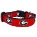 NCAA Georgia Bulldogs Dog Collar (Team Color, Large)