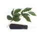 Button Hook Helper 3 pcs Button Assist Device Button Aid Hook Zipper Pull Button Hook Button Hook Tool Medium - Buy Online on GoSupps.com