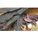 BEEFit Traditional Biltong Beef Jerky | 4x250g | High Protein, Gluten Free, Keto Friendly - Buy Online on GoSupps.com