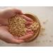Mediterranean pine nuts Pine Nuts - High Protein Iron Fiber - 1 Pack (250g) - Buy Online on GoSupps.com