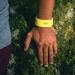 PARA'KITO Mosquito Repellent Pack - 2 Wristbands & 2 Refills | Yellow/White - Buy Online on GoSupps.com